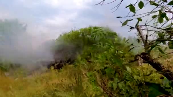 Çalıların Arasında Duran Bir Tanktan Ateş Edildi Gerçek Dövüş Rus — Stok video