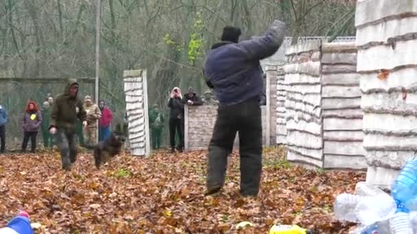 ウクライナのハリコフ 11月11日 2023年 大きな羊飼いの犬は 彼の歯で厚いジャケットの男の袖を掴み 彼を噛み 彼の袖にぶら下がりました ドッグガード ガード犬のトレーニング — ストック動画