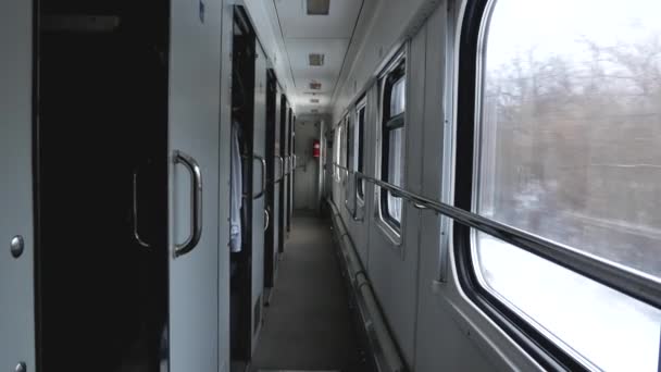里面载着一列移动的火车 一个走廊和窗户 你可以透过那里看到冬季的风景 — 图库视频影像