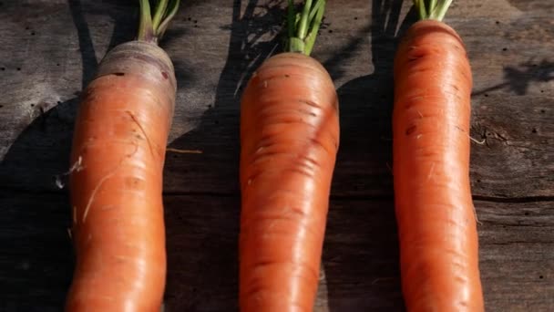 Спелые Свежесобранные Морковки Зелеными Листьями Лежат Деревянной Доске Здоровое Питание — стоковое видео