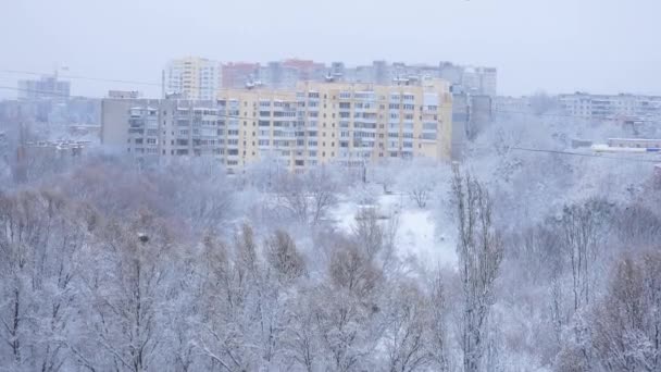 Eine Metropole Schnee Hintergrund Schneebedeckte Bäume Und Mehrstöckige Gebäude Ansicht — Stockvideo