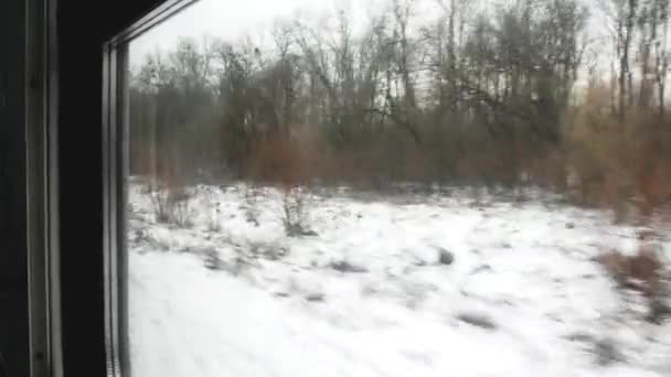 Зимний Пейзаж Окна Движущегося Поезда Вид Окна Поезда Камера Смотрит — стоковое видео