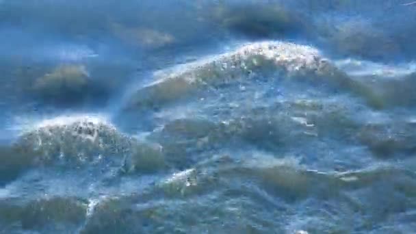 山の川の青い澄んだ水が石の間に流れています 山の川の流れが急速に流れ 石に水が泡立ちました 落ち着いた風景 ワイルドライフ — ストック動画