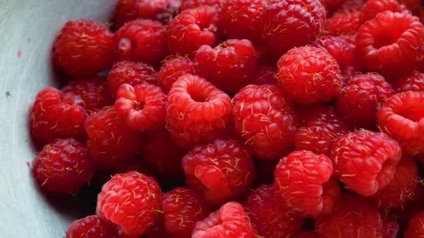 ボウルにジューシーな赤い熟したラズベリー ラズベリーの収穫 ダイエット中のビタミンベリー おいしいスナック サマーダイエット ベリーと健康的な食事 — ストック動画
