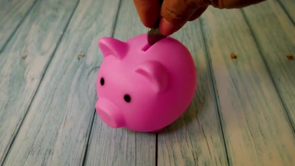 一个女人的手把硬币以粉红猪的形式扔进了储蓄罐 家庭预算的概念 维持家庭预算 积累资金 金融知识普及 — 图库视频影像