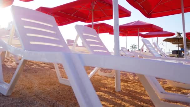 Tumbonas Vacías Plástico Blanco Playa Arena Bajo Sombrillas Rojas Vacaciones — Vídeo de stock