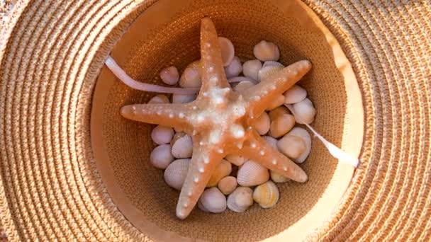Duże Rozgwiazdy Muszle Letnim Kapeluszu Filtrem Przeciwsłonecznym Piaszczystej Plaży Odpocznij — Wideo stockowe