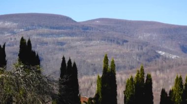 Mavi gökyüzüne karşı eski orman dağları. Dağlık arazi. Panorama. Ön planda uzun yeşil ağaçlar var..