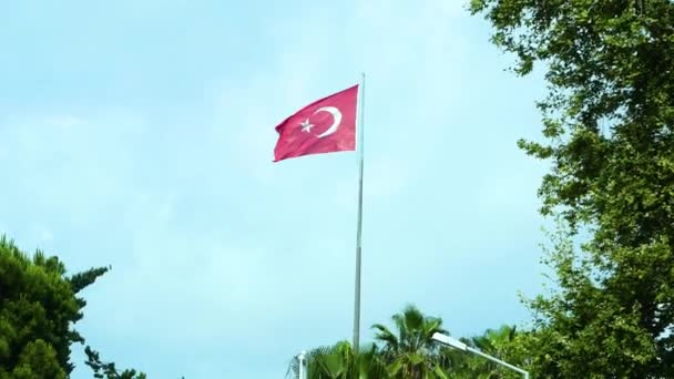 Флаг Турции Высоком Флагштоке Против Голубого Неба Бокам Зеленые Деревья — стоковое видео