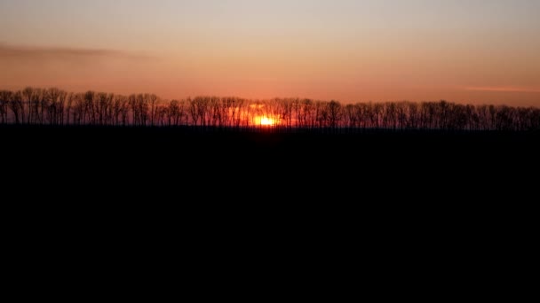 Sunset Red Sun Sets Trees Foreground Field Black Earth Shadow — Stock Video