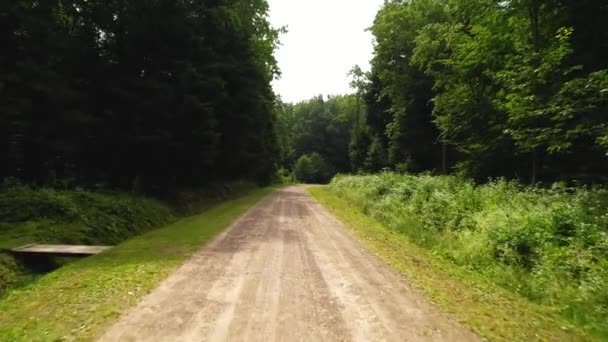 Грязная Дорога Лесу Камера Движется Вперед Бокам Деревья Зелеными Листьями — стоковое видео
