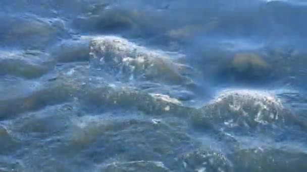 Блакитна Чиста Вода Гірської Річки Тече Над Камінцями Дика Природа — стокове відео
