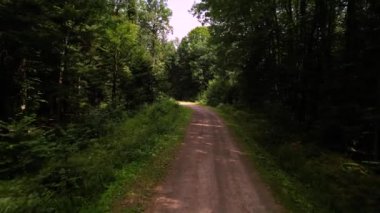 Ormanda dolambaçlı bir yol. Kenarlarında yeşil ağaçlar ve çimenler var. Kamerayı ileri alıyorum..