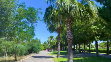 Side, Turkey - 20 Haziran 2023: Akdeniz 'deki bir yaz parkı. Yaya geçidinin kenarlarında palmiye ağaçları ve yeşil ağaçlar yetişir. Adam sokak boyunca yürür..