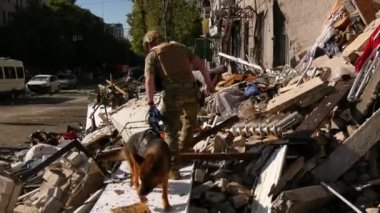 Kharkiv, Ukrayna - 23 Haziran 2024: Bir köpek ve bir kurtarıcı yıkılmış bir evin kayalıklarına tırmanıp bir Ukrayna şehrine yapılan füze saldırısının ardından yıkıntıların altındaki insanları arıyorlar. Rus-Ukrayna savaşı