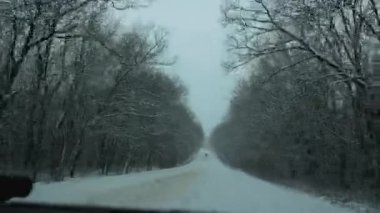 Karla kaplı kış yolu. Her iki tarafta yaprakları olmayan ağaçlar var. Arabanın ön camından görüntüyü al. Kamerayı ileri alıyorum..