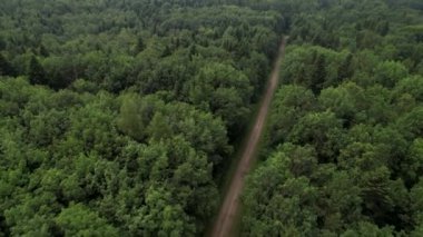 Yoğun yaprak döken orman ve yol, üst manzara. Ormanın üzerinde kamera uçuşu. Orman koruma ve ekme kavramı.