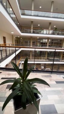 Koridorda çeşitli katları, cam bölümleri ve yeşil iç çiçekleri olan modern bir ofis..