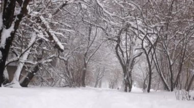 Yol karla kaplı, kenarlarında karla kaplı ağaçlar var. Kar yağıyor. Karlı kış konsepti. Noel havası.