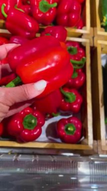 Kadınların elleri farklı yönlerde tutuşur ve bükülür tezgahın yanında büyük kırmızı bir dolma biber. Mutfak için biber seç, öğle yemeği. Diyetteki sebzeler, sağlıklı yiyecekler..