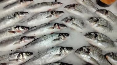 Süpermarkette buzlu taze deniz balığı. Diyetteki balık ürünleri.