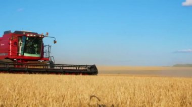 Kharkiv, Ukrayna - Jule, 18, 2022: Bir biçerdöver tarladan geçer ve yazın buğday hasat eder. Erken tahıl ve buğday hasadı. Organik buğday ekimi. Konsept