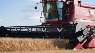 Kharkiv, Ukrayna - Jule, 18, 2022: Kombine tarla boyunca yavaşça ilerliyor ve buğday hasadını hasat ediyor. Çiftlikte tahıl ekimi. Organik tarım
