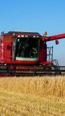 Kharkiv, Ukraine - Jule, 18, 2022: A grain harvester drives through a field of ripe golden wheat and mows spikelets. Harvesting of wheat in summer. Combine against the blue sky. Harvest concept, grain