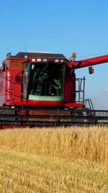 Kharkiv, Ukraine - Jule, 18, 2022: A grain harvester drives through a field of ripe golden wheat and mows spikelets. Harvesting of wheat in summer. Combine against the blue sky. Harvest concept, grain