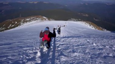 Vorokhta, Ukrayna - 17 Ocak 2025: Dağdan karlı bir dağ yolu boyunca yürüyüş direkleriyle inen bir grup turist. Kenarlarında uzun köknar ağaçları olan karla kaplı bir manzara. Etkin