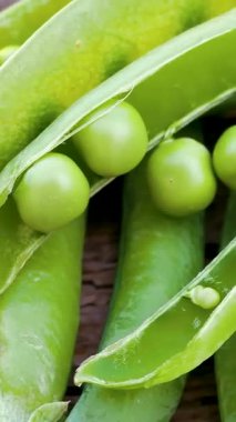 Tahta bir yüzeyde taze bezelye kabukları. Panorama. Taze toplanmış bezelyeler, vitamin, yüksek proteinli bitki temelli diyet.