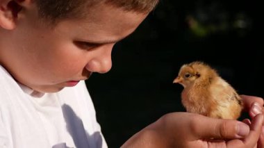 Bir çocuk yeni doğmuş şirin bir yavruyu elinde tutuyor ve hayranlıkla gülümsüyor. Çocuklar ve hayvanlar arasındaki etkileşim. Paskalya Sembolü.