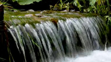 Hızlı bir dağ deresi yamaçtan aşağı akar, su çıkıntıdan dökülür ve köpük oluşturur ve su sıçrar. Derenin etrafında yeşil, yoğun bir dağ ormanı uzanır. Dokunulmamış vahşi doğanın güzelliği