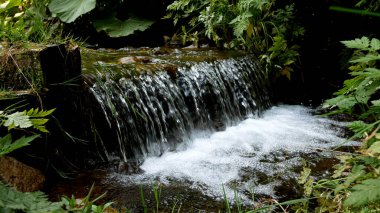 Hızlı bir dağ deresi dağdan aşağı iner, su çıkıntıdan dökülür ve köpük oluşturur. Etrafta yeşil bir dağ ormanı var..