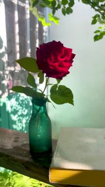 Yeşil renkli cam bir şişedeki kırmızı gül güneş ışığındaki bir evin verandasında. Onun yanında açık bir kitap yatıyor. Sıcak yaz sabahı havası.