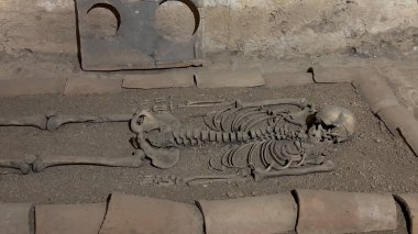 Kumda iskelet kemikleri. Antik defin. İnsan kalıntıları. Arkeoloji, arkeolojik kazılar. 