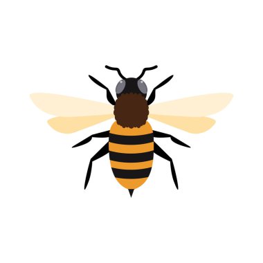 honey bee flat design vector illustration. Cute Bumble Bee. bumblebee character logo mascot