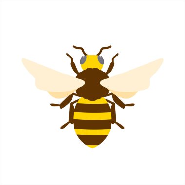honey bee flat design vector illustration. Cute Bumble Bee. bumblebee character logo mascot