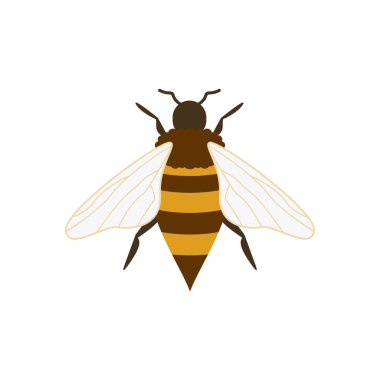honey bee flat design vector illustration. Cute Bumble Bee. bumblebee character logo mascot