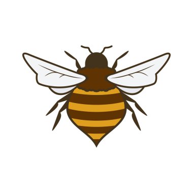 honey bee flat design vector illustration. Cute Bumble Bee. bumblebee character logo mascot