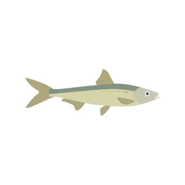 Saltwater Fish Flat Design Vector Illustration Fresh Fish Icon Seafood — Stock Vector