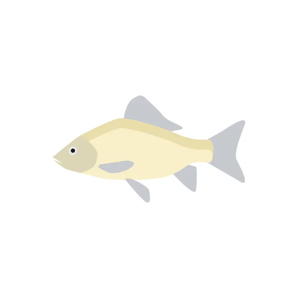 Süßwasserkarpfen Fisch Flache Design Vektor Illustration — Stockvektor