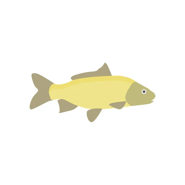 Freshwater Carp Fish Flat Design Vector Illustration — Stock Vector
