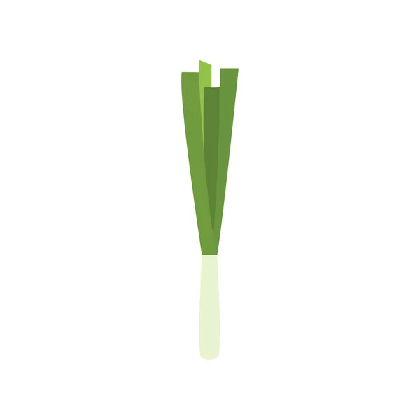 Illustration Vectorielle Motif Plat Oignons Verts Printemps Des Oignons Verts — Image vectorielle