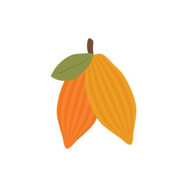 Kakao fasülyesi düz tasarım vektör çizimi