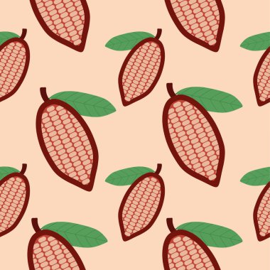 Kakao pürüzsüz desenli vektör çizimi. Doğal çikolata. Organik tatlı yiyecekler, grafik çizimler. Kakao vintage paketi.
