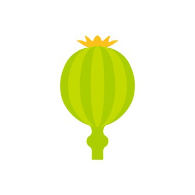 Afyon haşhaş düz tasarım vektör çizimi