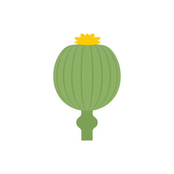Illustration Vectorielle Dessin Plat Opium Pavot — Image vectorielle