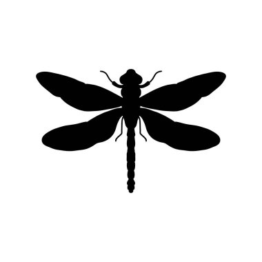 Yusufçuk siyah ve beyaz siluet vektör çizimi. Beyaz arka planda yusufçuk böceğinin el çizimi