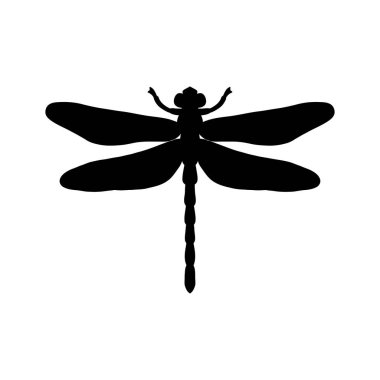 Yusufçuk siyah ve beyaz siluet vektör çizimi. Beyaz arka planda yusufçuk böceğinin el çizimi